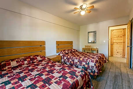 Double Room with Two Double Beds