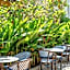 Wyndham Garden Naithon Phuket