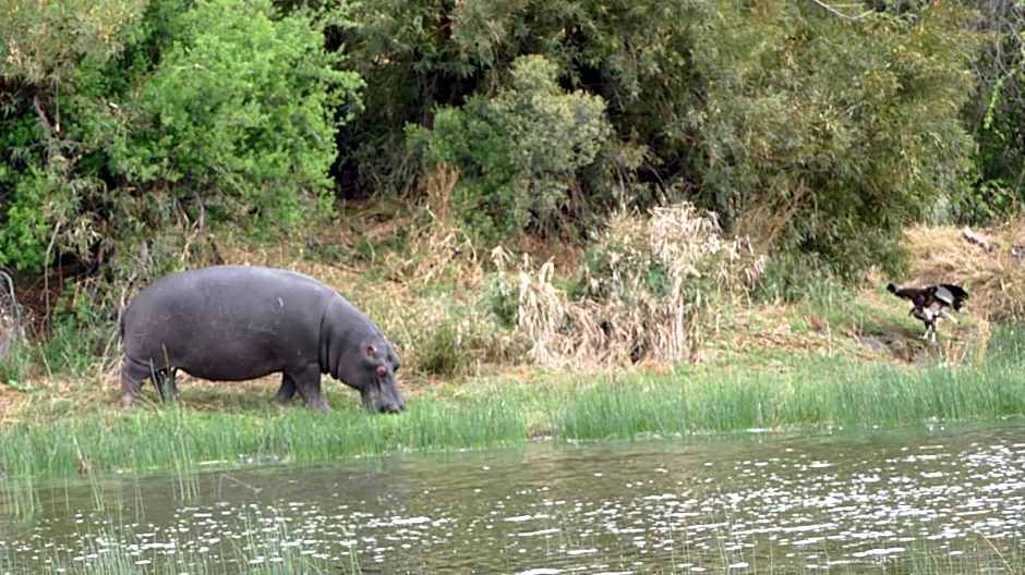 Morokolo Safari Lodge Self-catering