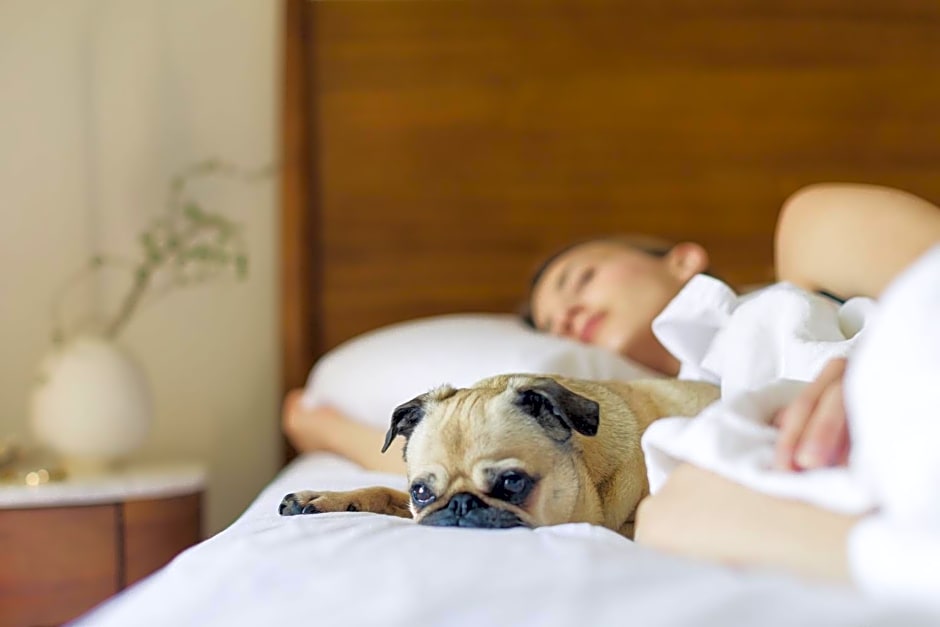 Holiday Inn Express Tucson-Airport by IHG