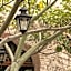Orchid House San Miguel de Allende
