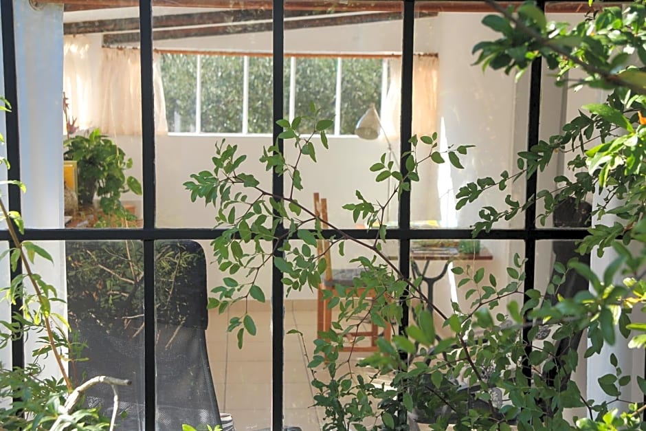 Le cabanon de l'olivette