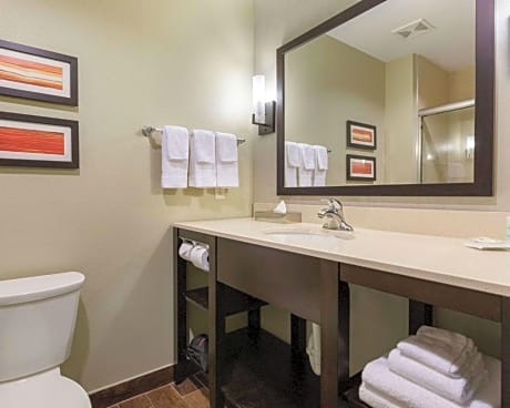 Superior King Suite - Non-Smoking