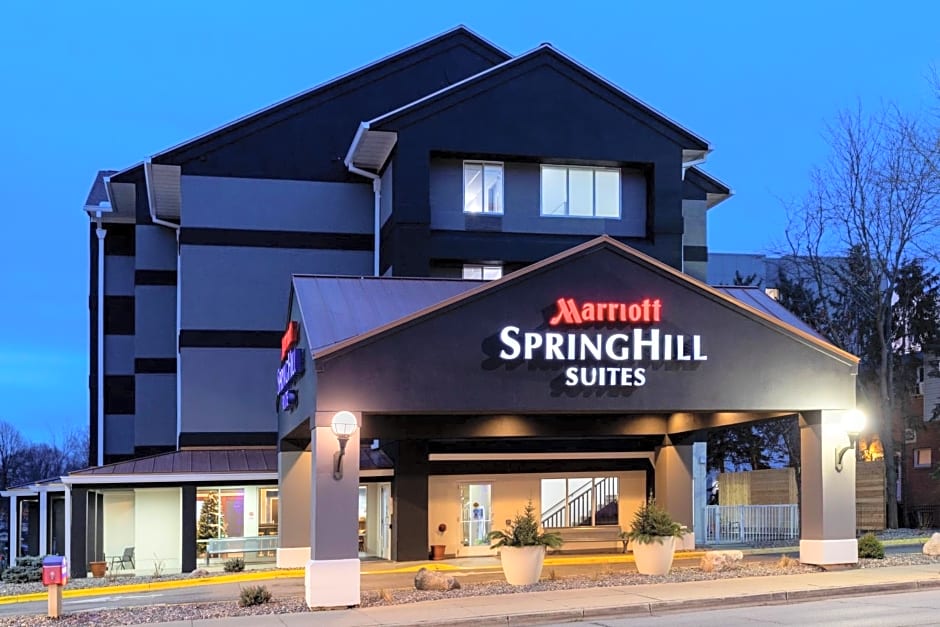 SpringHill Suites by Marriott Rochester Mayo Clinic Area/Saint Marys