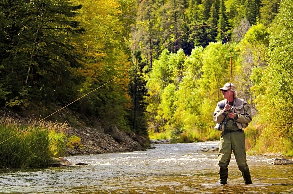 Best Western Black Hills Lodge