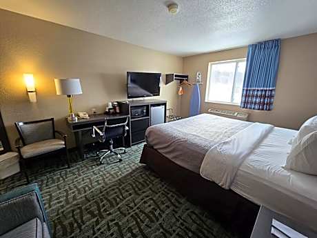 One Room Executive King Suite with Wet Bar - Non Smoking