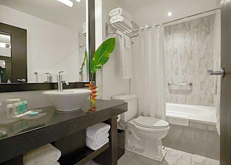 07 One Bedroom Suite King