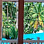 Moon Travel Phangan