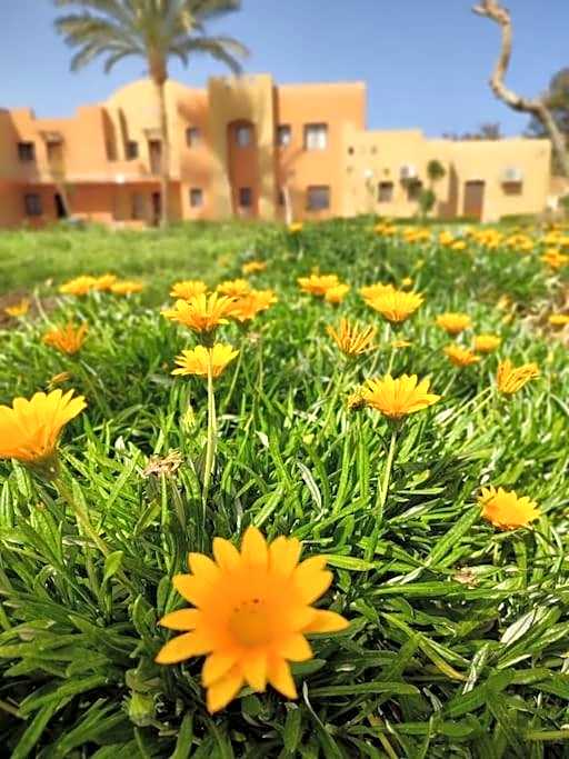 Chalet in Stella Makadi on ground floor