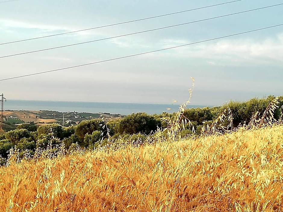 B&B Gli amici del tubarello
