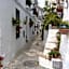 Hotel Rural Almazara