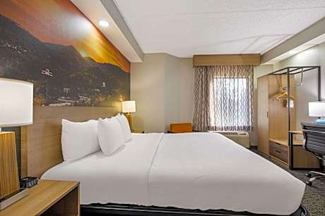 King Room - Non-Smoking