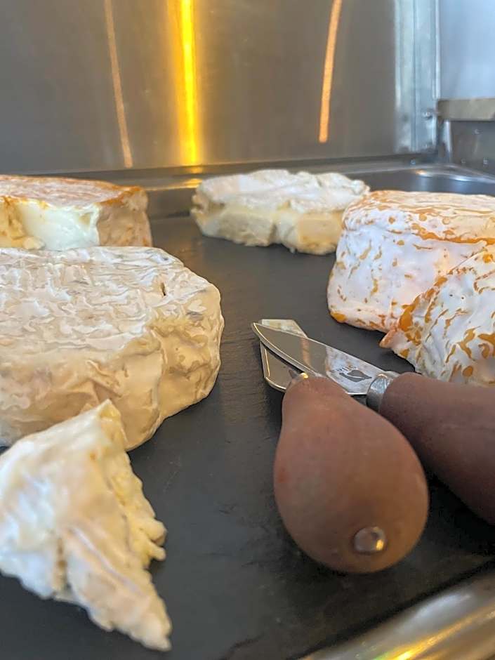 LOGIS HOTEL - La Petite Rade