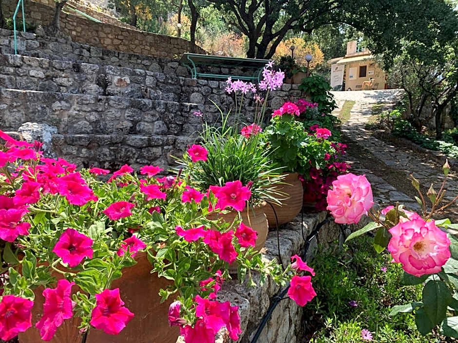 Bio Guesthouse Mani Sonnenlink