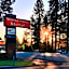 Shasta Pines Motel & Suites