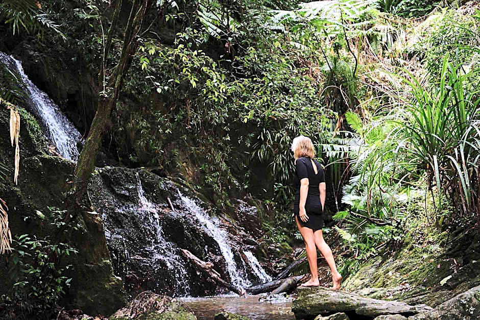 Daintree Eco Lodge & Spa