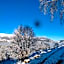 Cabana doi mesteceni