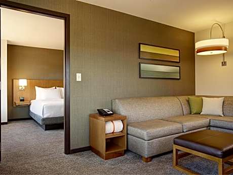 One-Bedroom King Suite with Sofa Bed
