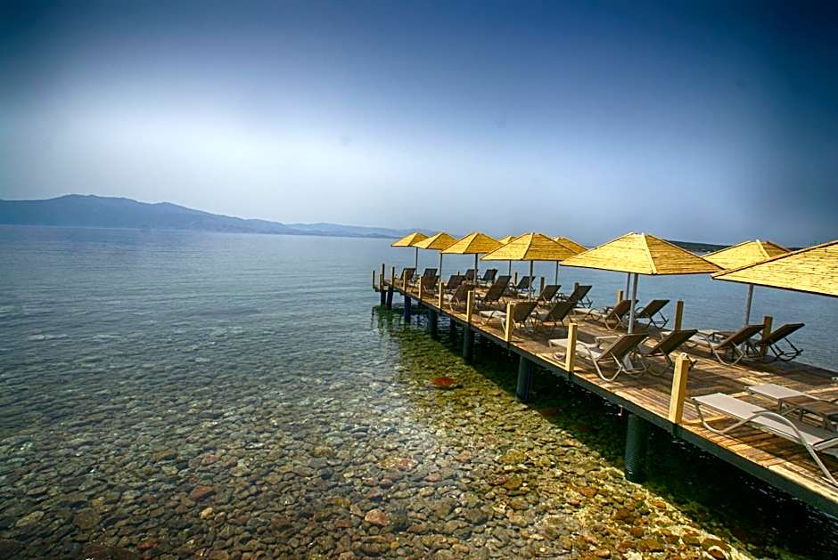 Assos Dionysos Special Class Hotel Adults Only 12 years