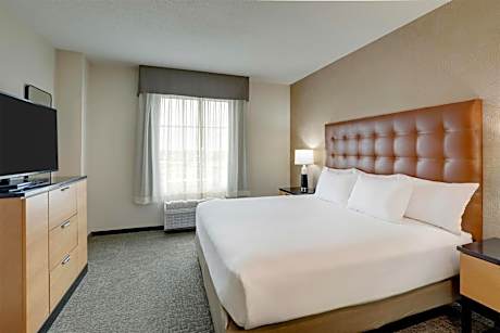 King Suite with Sofa Bed - Accessible, Tub