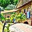 Mezzano In Chianti