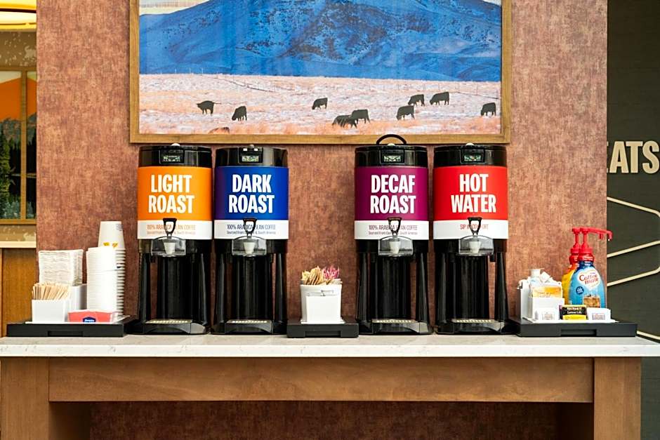 Hampton Inn - Suites by Hilton-Whitefish MT