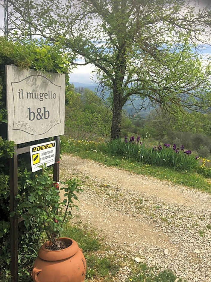 Il Mugello B&B