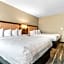 Hampton Inn By Hilton & Suites Selma-San Antonio/Randolph Afb Area