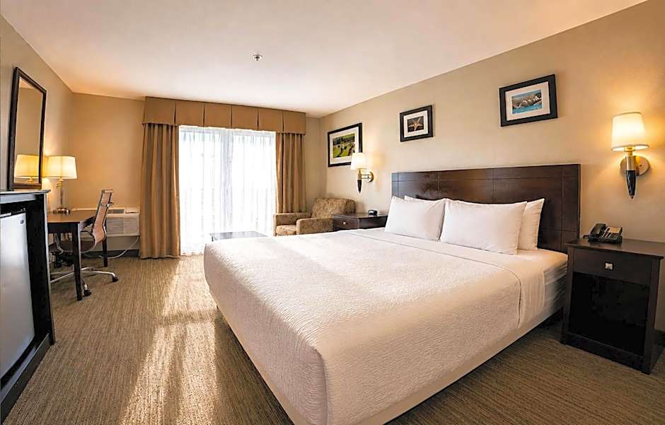 The Volare, an Ascend Collection Hotel