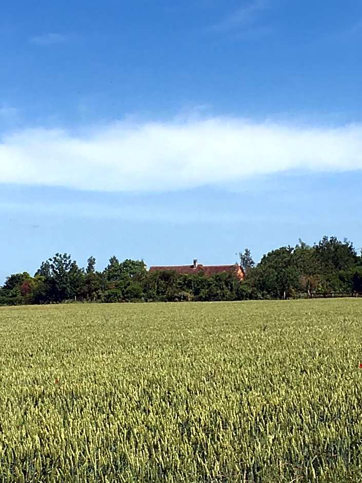 La Suzannerie