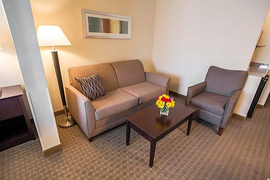 Comfort Suites University Area