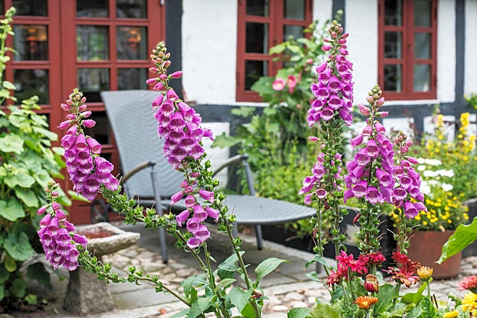 Grundfør bed and breakfast