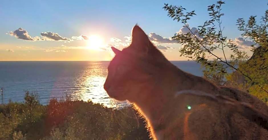 Perla del Levante Hostel