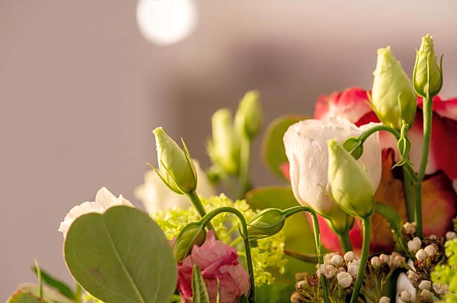 Boutique Hotel Frieden