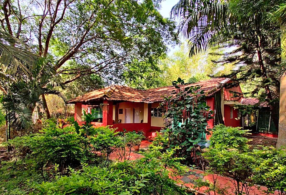 Jungle Inn — 14 fotoğraftan 1. fotoğraf