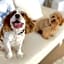 Marine House KAKISAKI - BBQ OK Pets OK