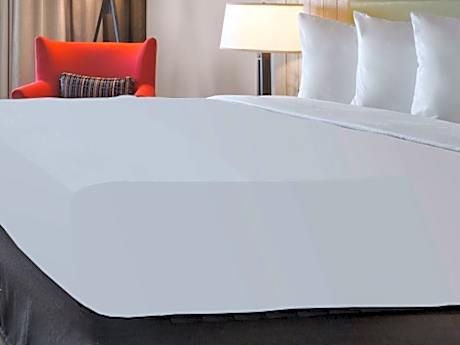 1 King Bed, Nonsmoking, Accessible