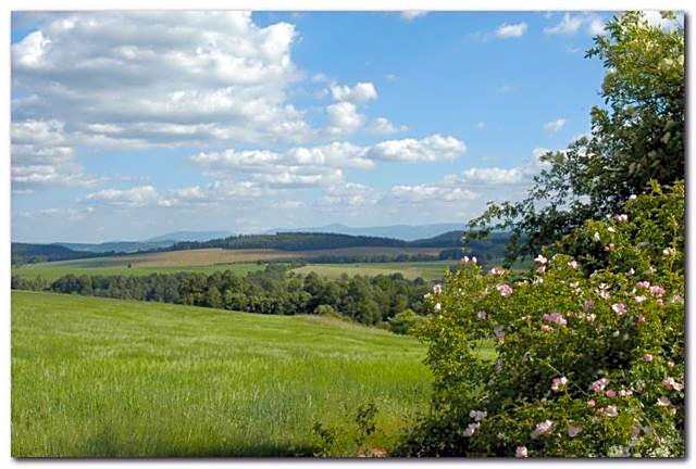 Dom Gościnny pod Zamkiem Wleń