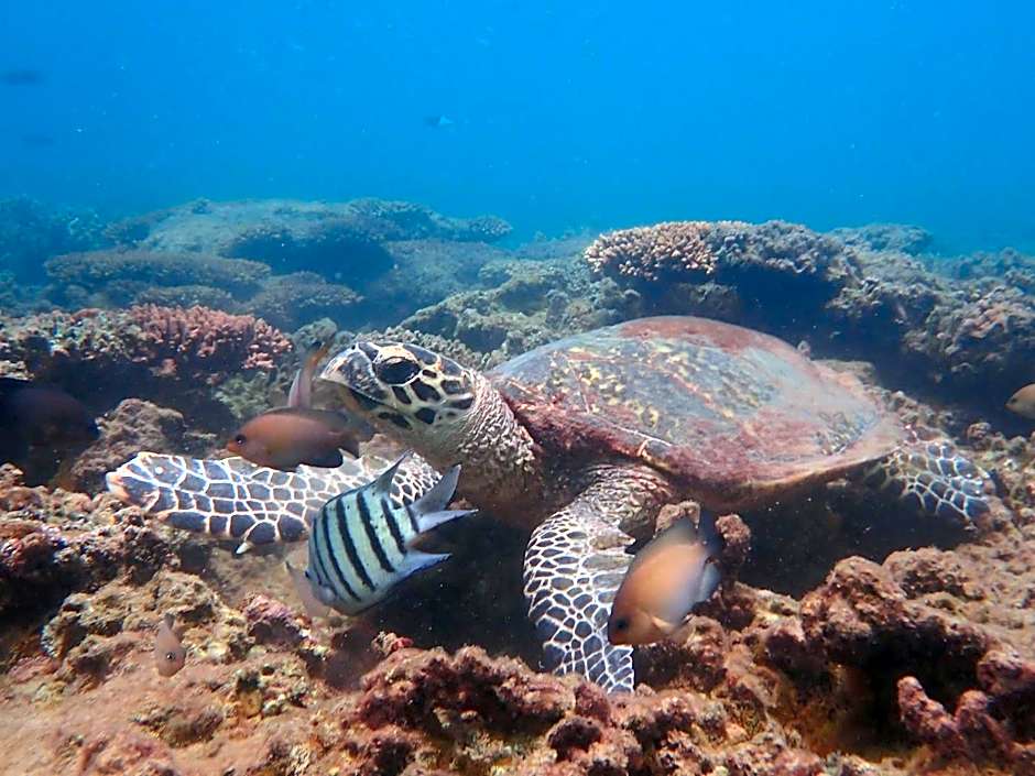 Great Keppel Island Hideaway