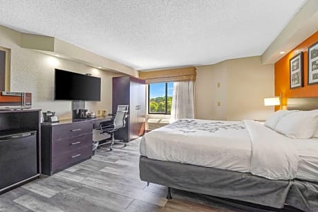 King Room - Disability Access/Non-Smoking