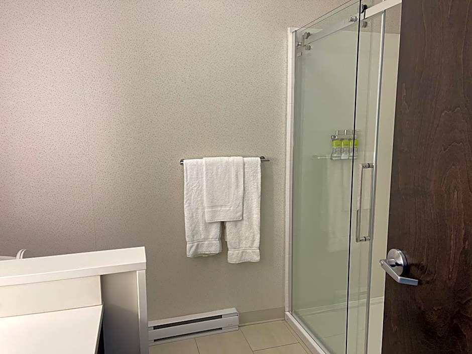 Holiday Inn Express & Suites Gatineau - Ottawa By IHG