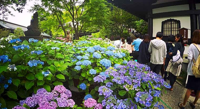 Iza Kamakura Guest House And Bar