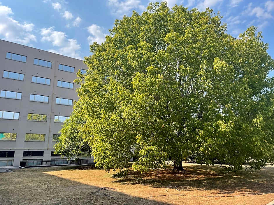 Residence Hotel Torino Uno