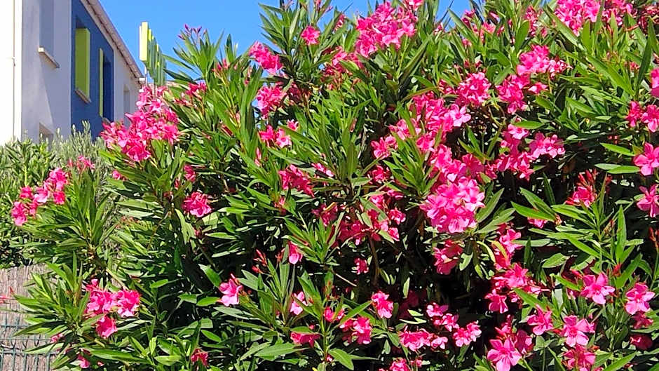 B&B HOTEL Toulon Ollioules