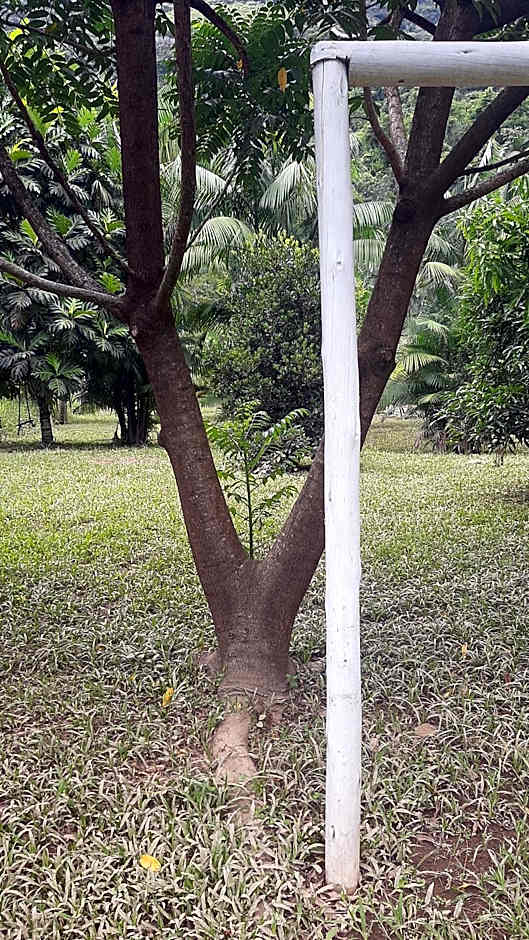 Rancho Esperança, pouso e comida a lenha