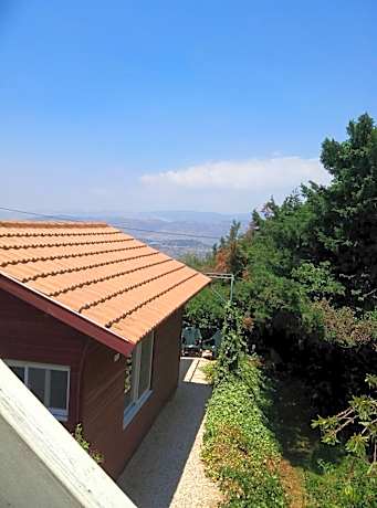 Cabin In The View