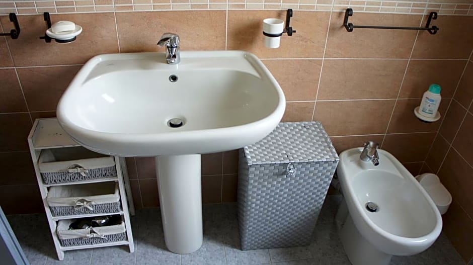 Il Piccione Viaggiatore