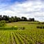 Clos Labellie - Gîte et Chambre d'Hôtes à Saint-Emilion