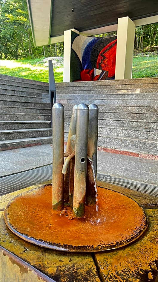 Hotel Palace - KÚPELE SLIAČ