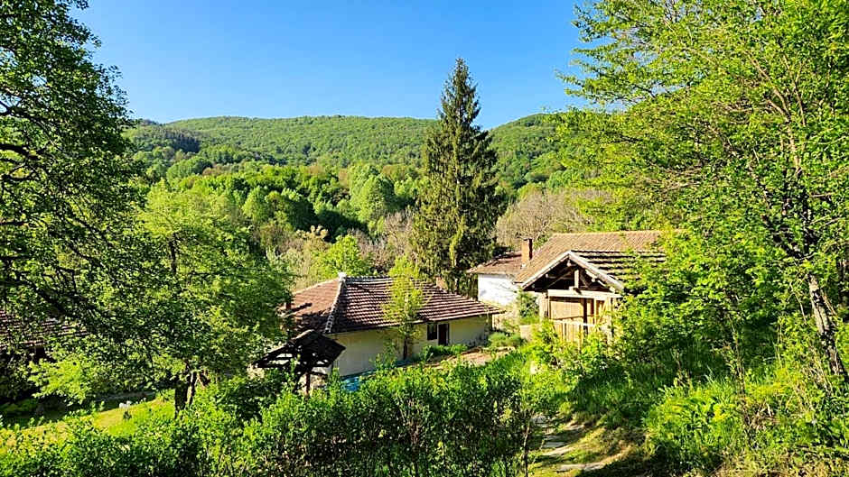 Little River Guest House